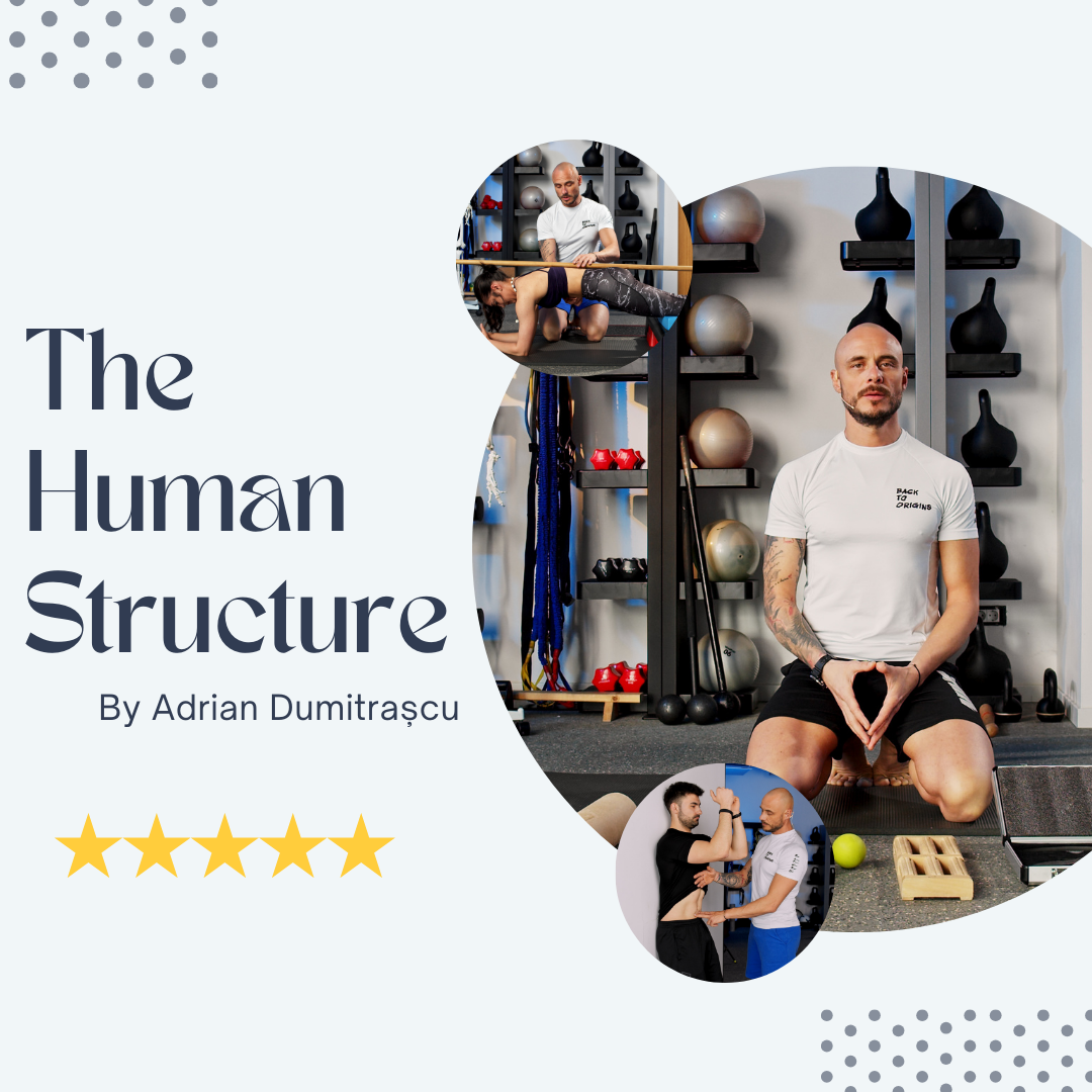 The Human Structure